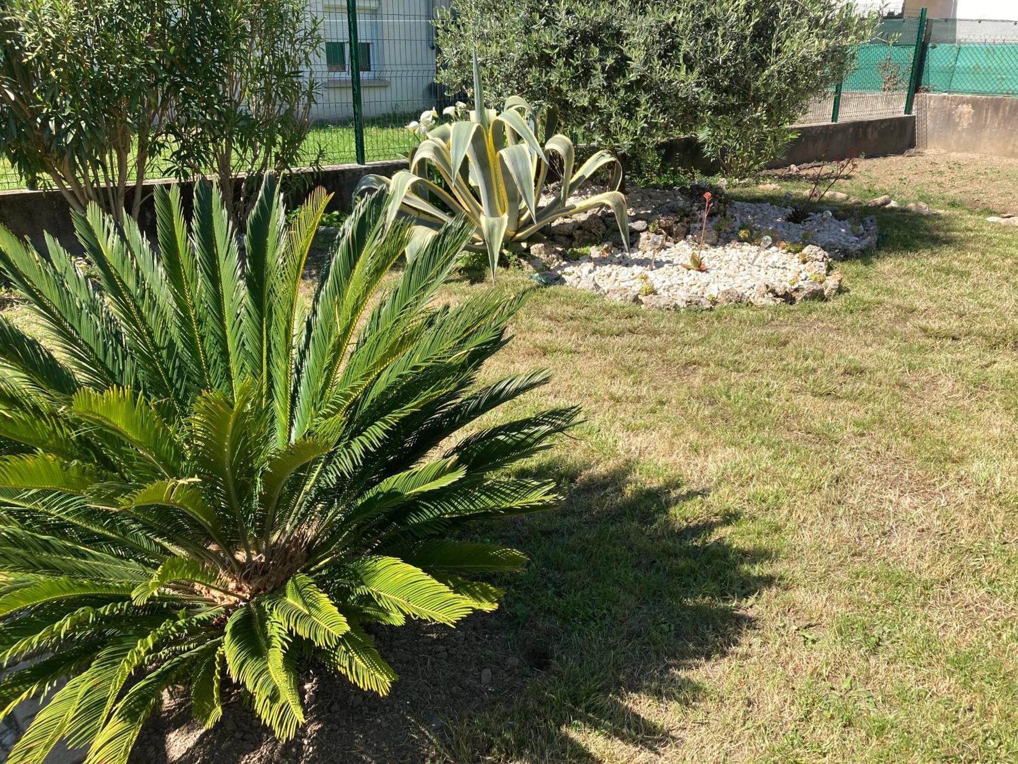 Chez Val Et Phil Otel La Voulte-sur-Rhone Dış mekan fotoğraf